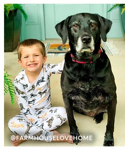 labrador toddler pajamas