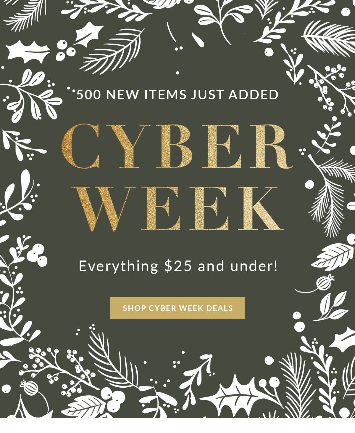 SHOP CYBER WEEK NOW