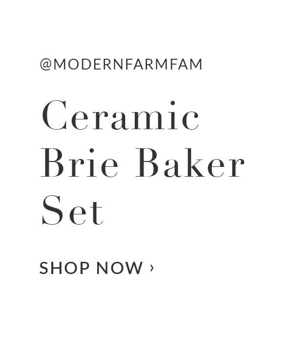 Ceramic brie baker set