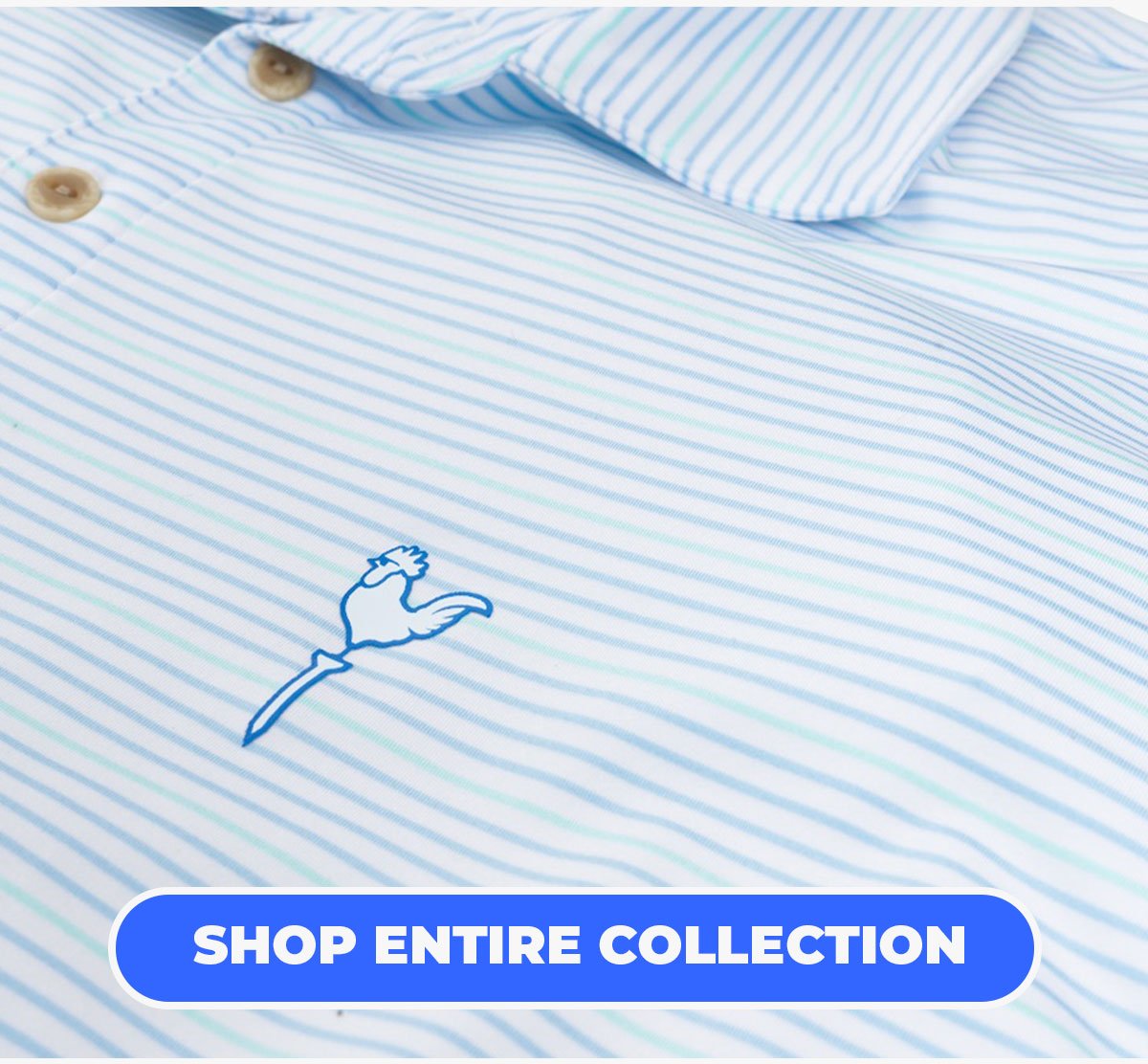 Button: Shop the entire collection