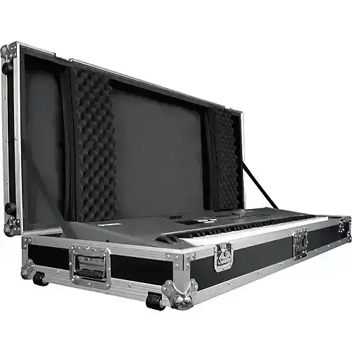 Cases & Gig Bags