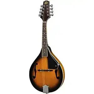 Rogue RM-100A A-Style Mandolin