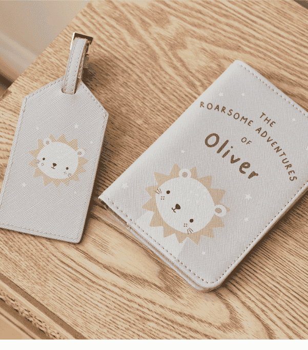 Personalised Lion Baby Passport Holder & Luggage Tag Set