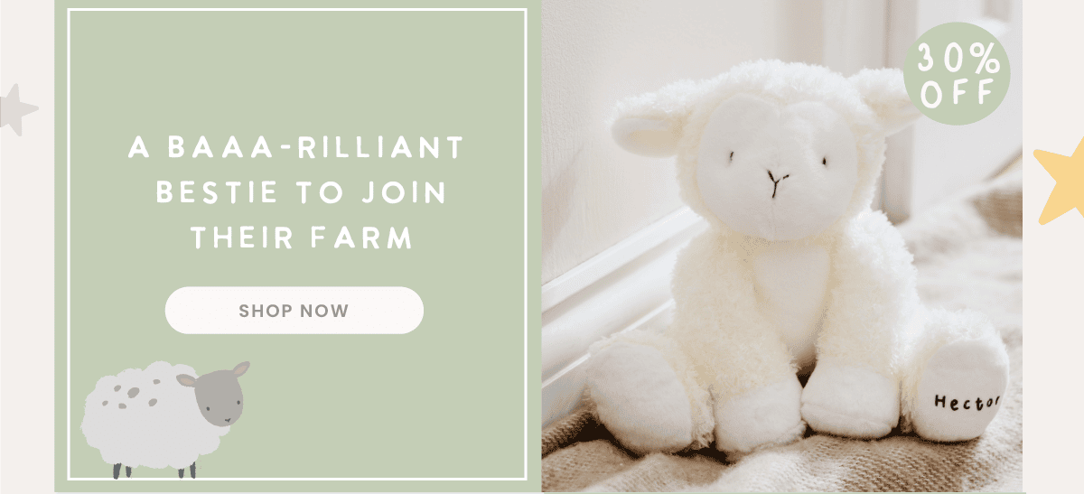 Personalised Lamb Soft Toy