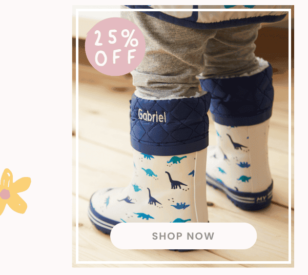  Personalised Grey Dinosaur Print Welly Boots