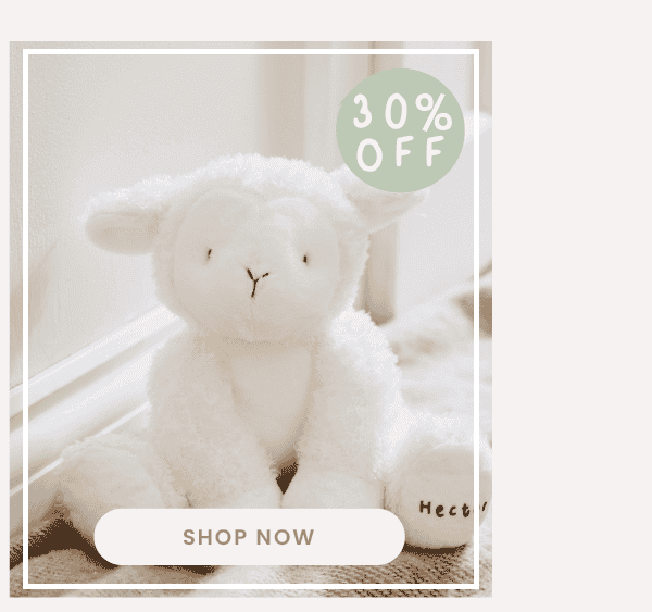 Personalised Lamb Soft Toy
