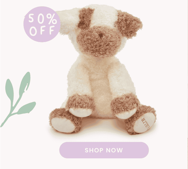 Personalised Puppy Plush Toy