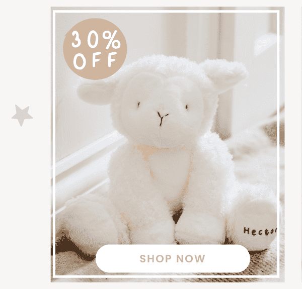 Personalised Lamb Soft Toy