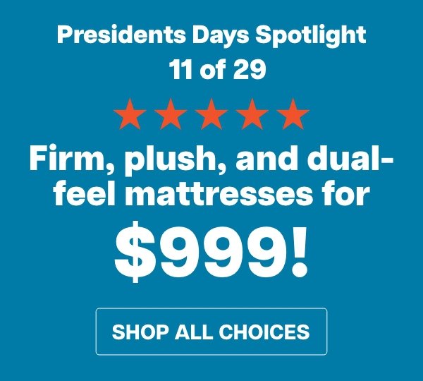 Choose from 4 mattresses in firm, plush, & dual feels!\t