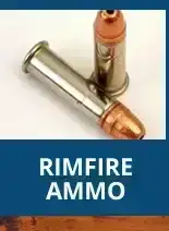 Shop Rimfire Ammo