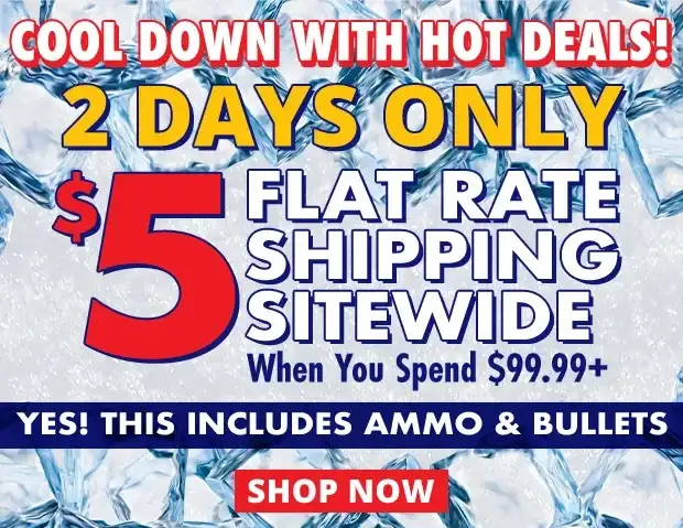 2 Days Only for \\$5 Flat Rate Shipping When You Spend \\$99.99+ •\xa0Restrictions apply • Cannot be used with other promotions • Use Code FR240718