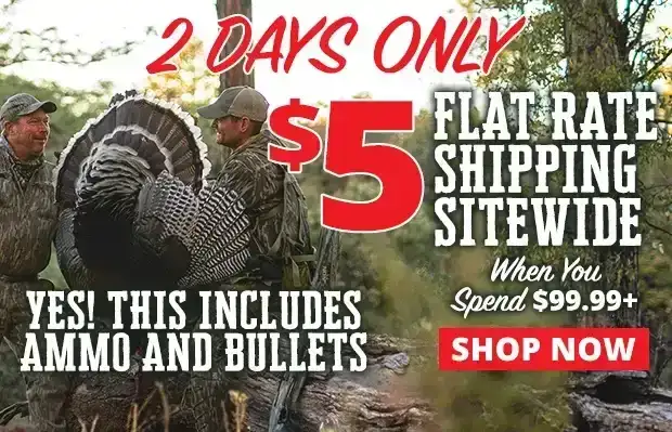 2 Days Only \\$5 Flat Rate Shipping Sitewide When You spend \\$99.99+ •\xa0Restrictions Apply •\xa0Use Code 240422