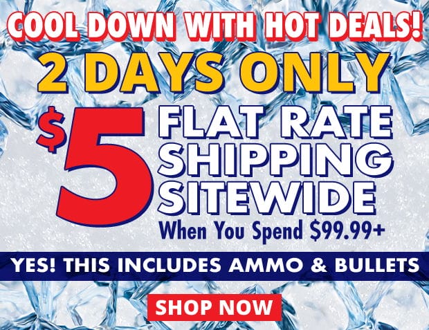 2 Days Only for \\$5 Flat Rate Shipping When You Spend \\$99.99+ • Restrictions Apply • Use Code FR240718