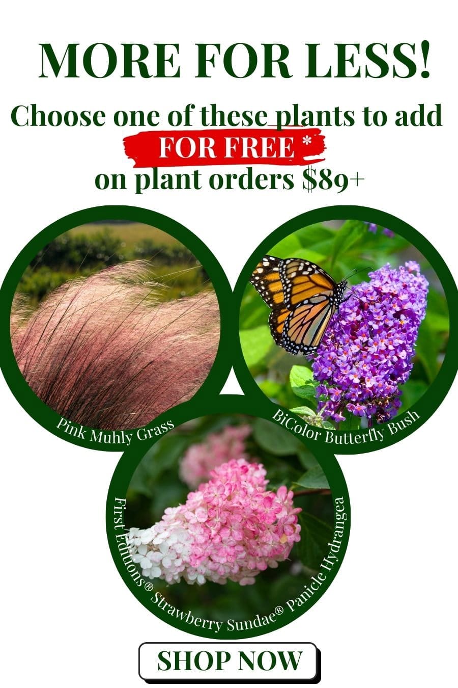 More for Less! Choose one of these plants to add FOR FREE on plant orders \\$89!