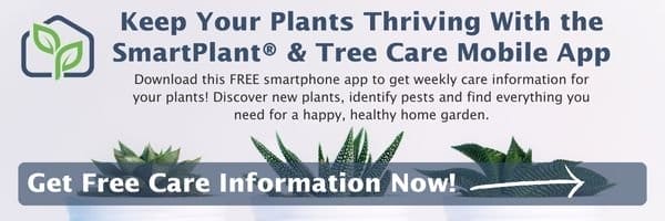 SmartPlant & Tree Care