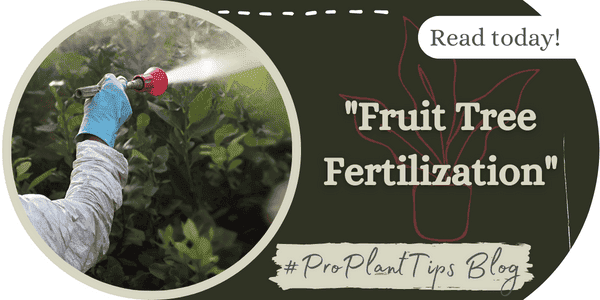 Fruit Tree Fertilization