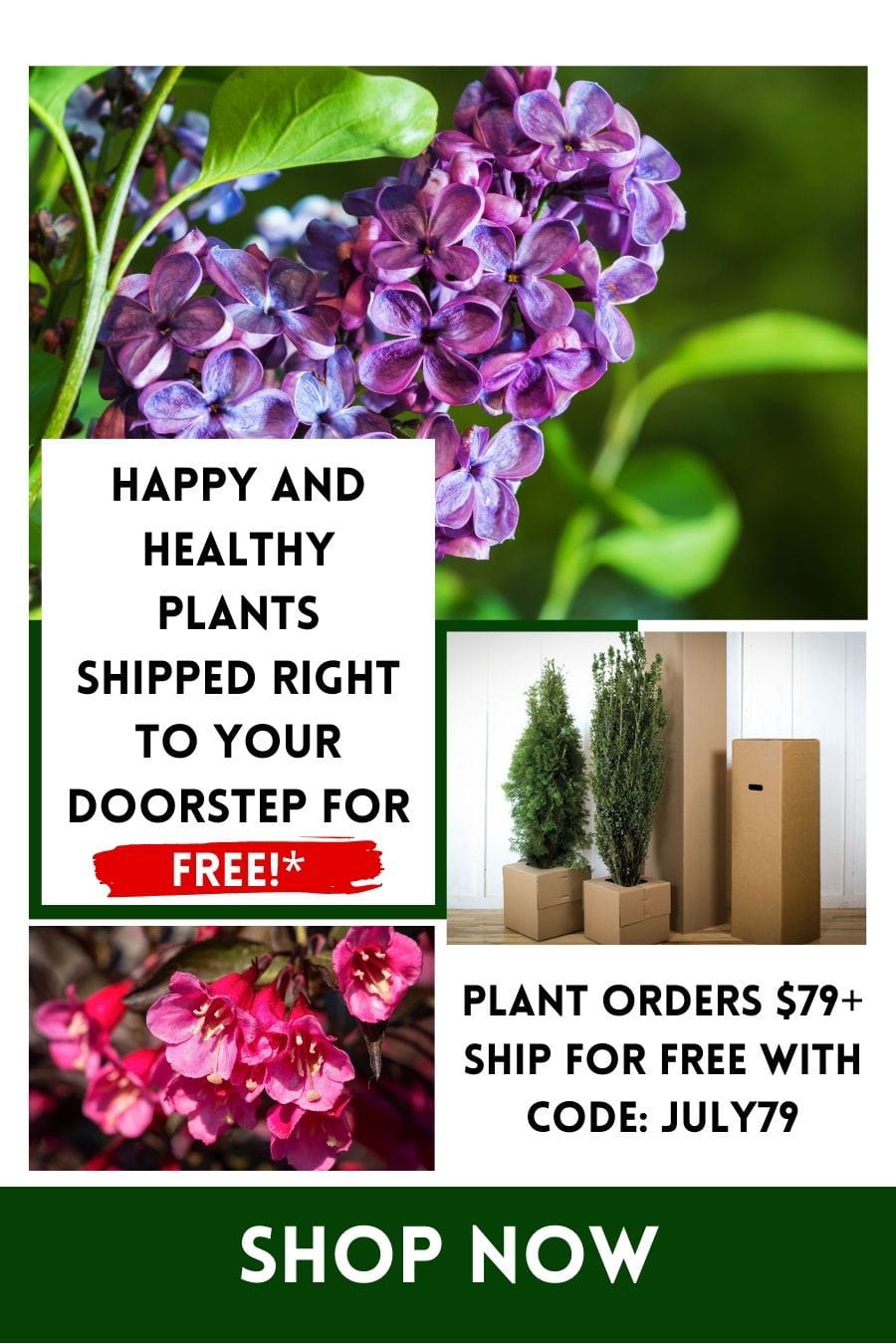 Happy and healthy plants shipped right to your doorstep FOR FREE! Plant orders \\$79+ ship for free with code: JULY79