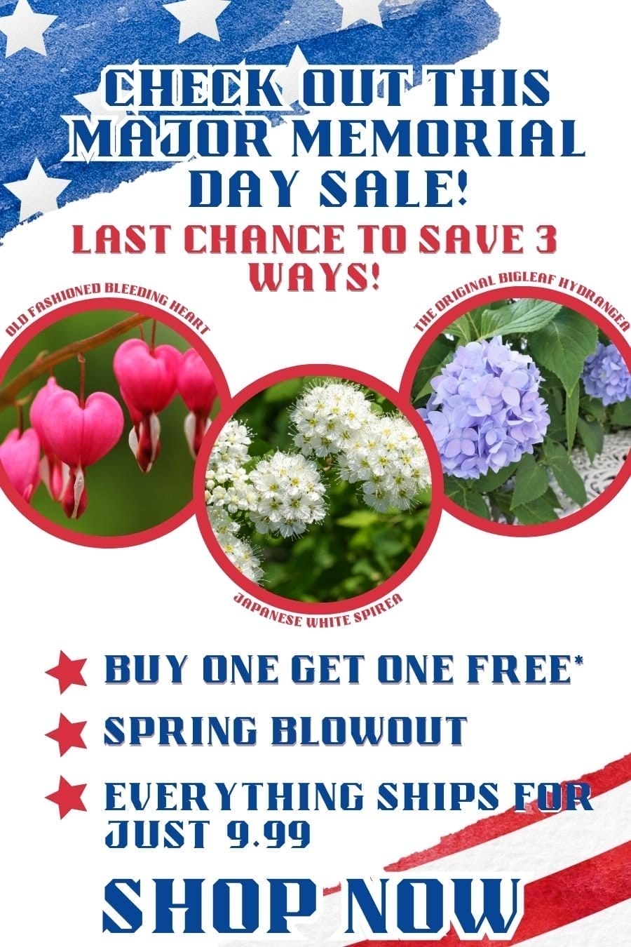 Happy Memorial Day! Last chance to save 3 ways!