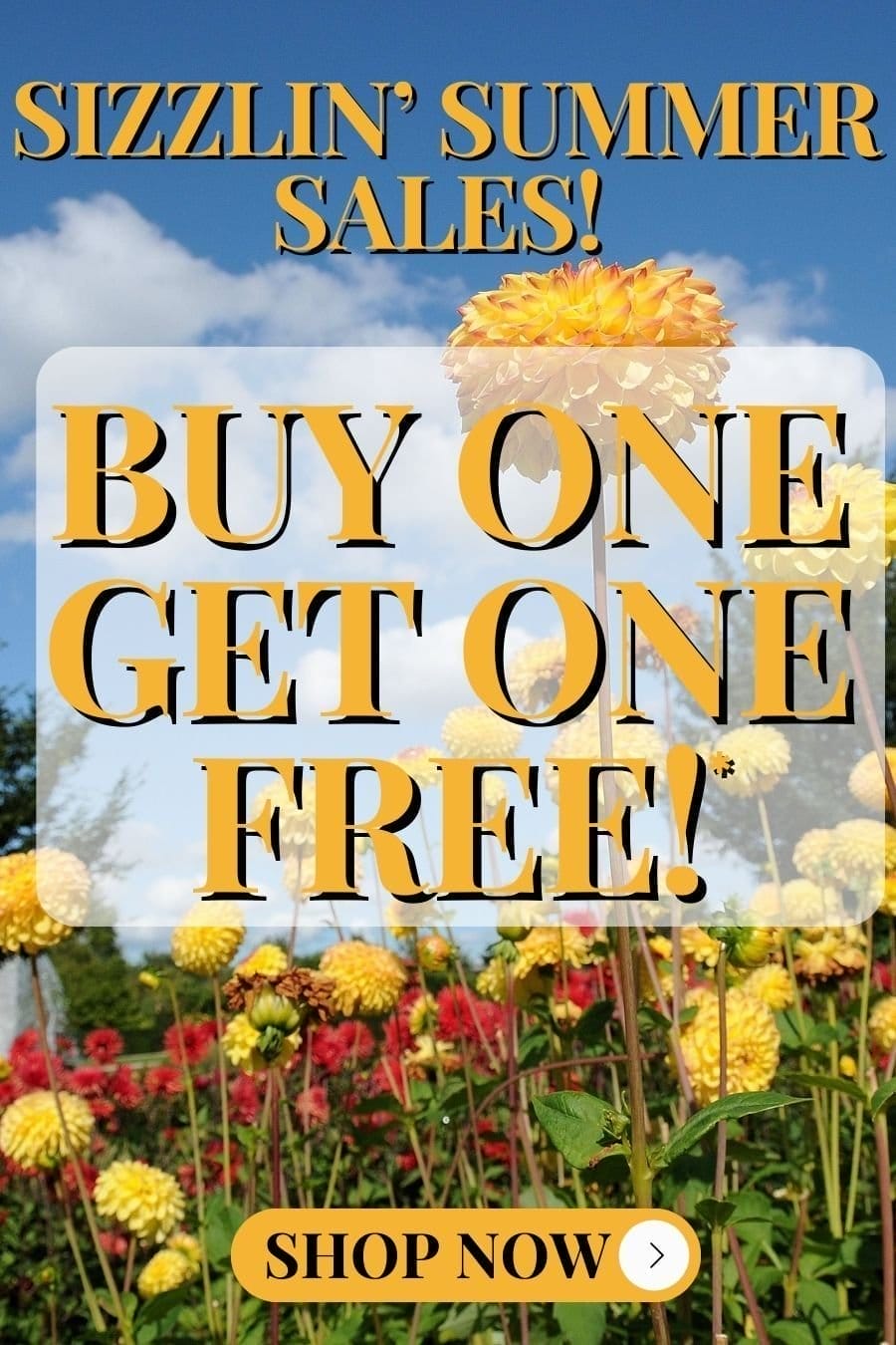 Sizzlin’ Summer Sales! Buy One Get One Free!