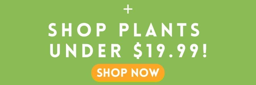 Shop Plants Under \\$19.99!