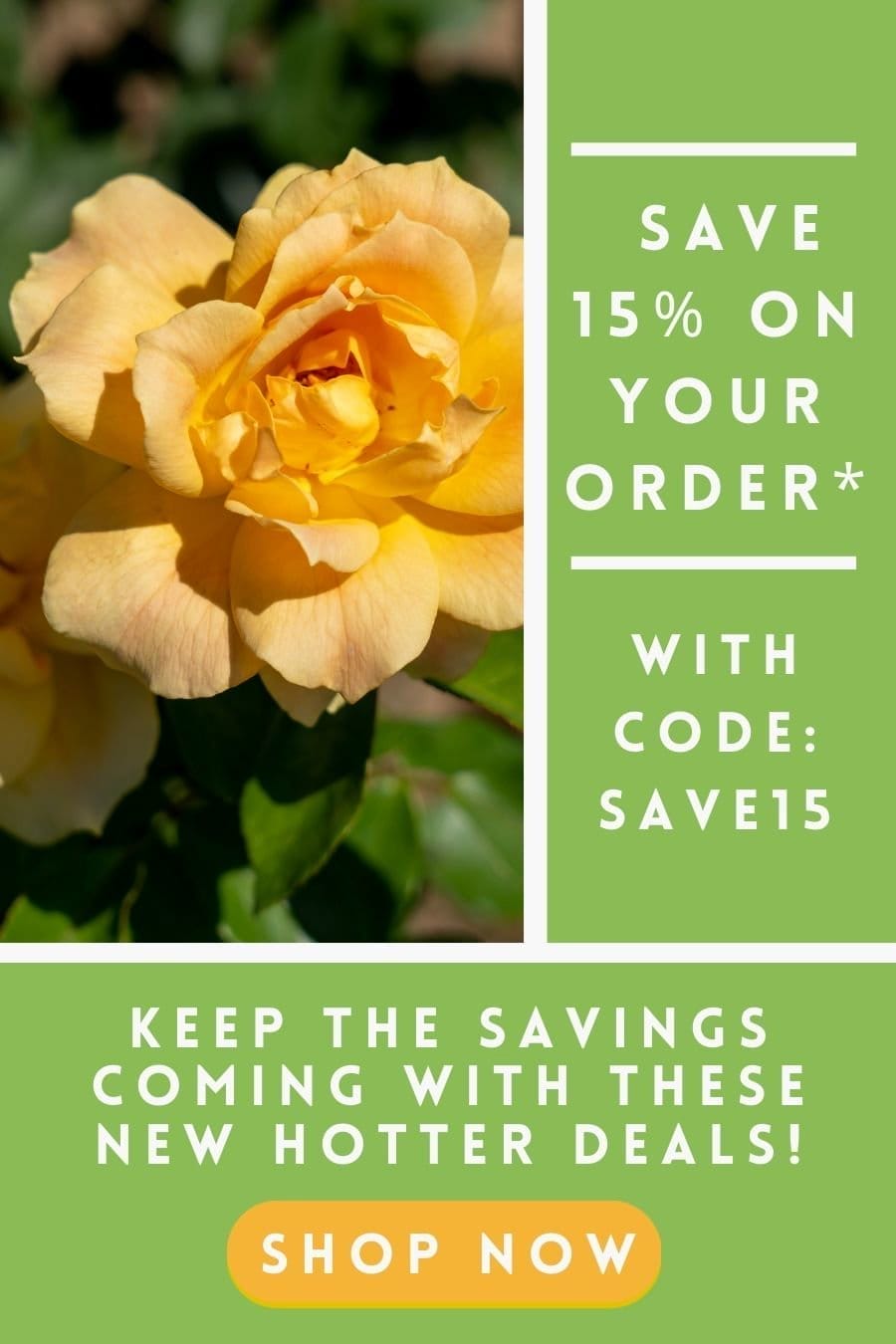 Save 15% on your order with code: SAVE15 and keep the savings coming with these New Hotter Deals