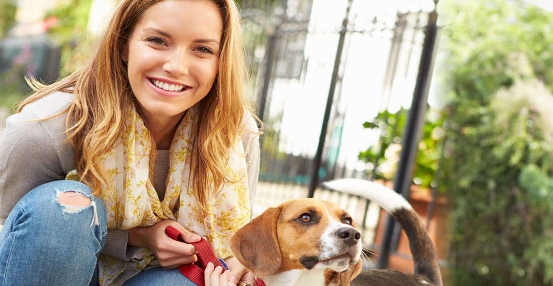 Image of Pet Sitting and Dog Walking Diploma