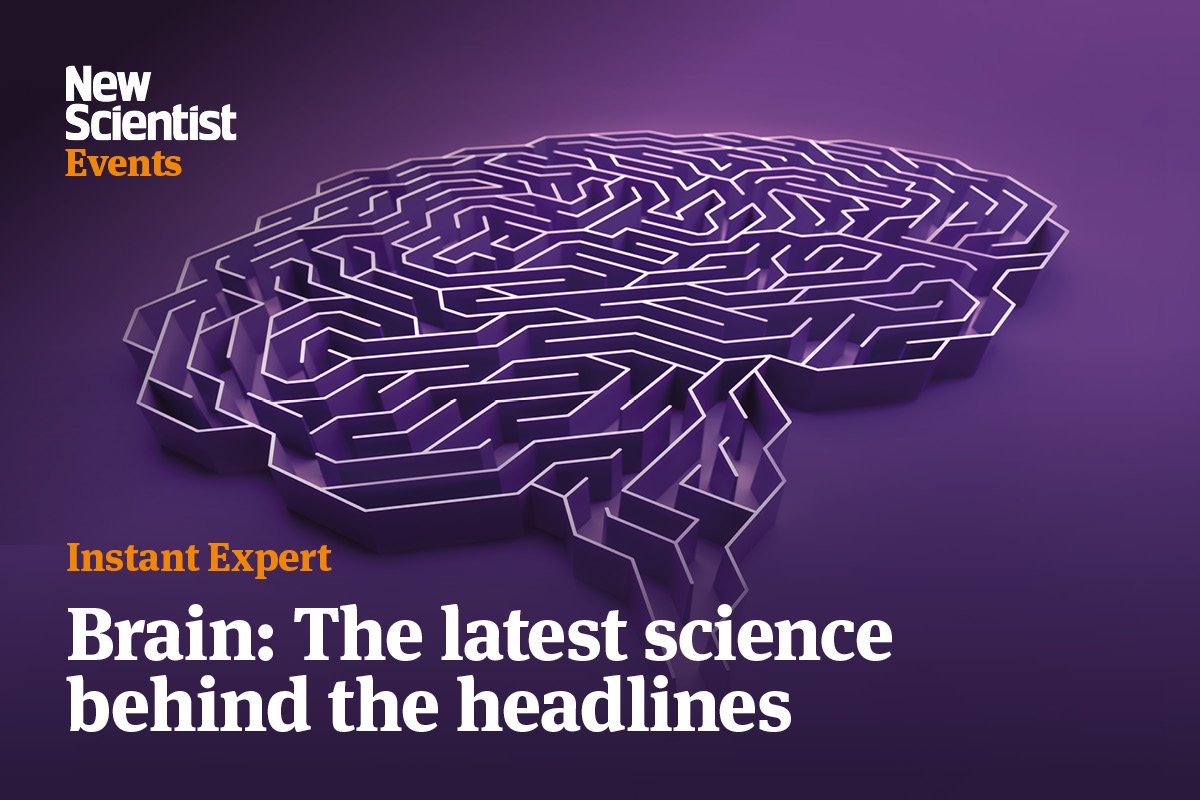 Instant Expert: Brain: The latest science behind the headlines. Image links to event