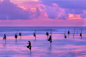 Sri Lanka. Image links to tour