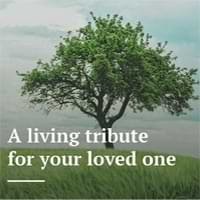 A living tribute for your loved one