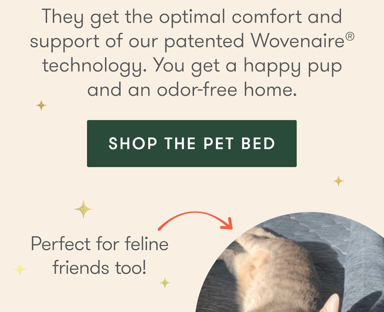 They get optimal comfort and support, you get a happy pup and an odor-free home.