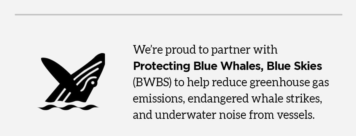 Protecting Blue Whales, Blue Skies