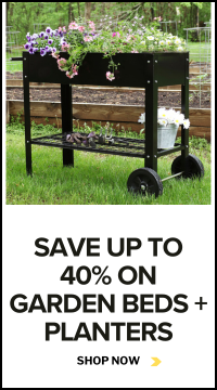 Planters and Garden Beds 