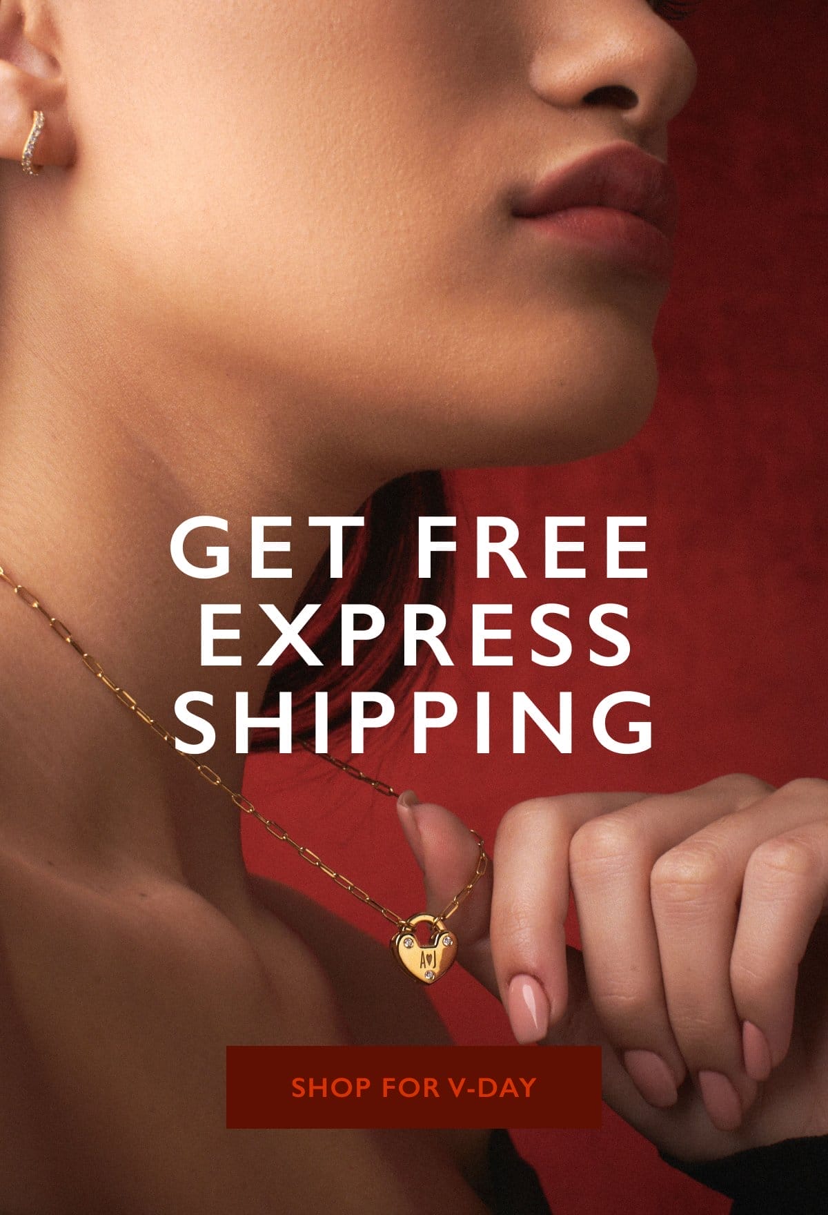 Free Express Shipping>