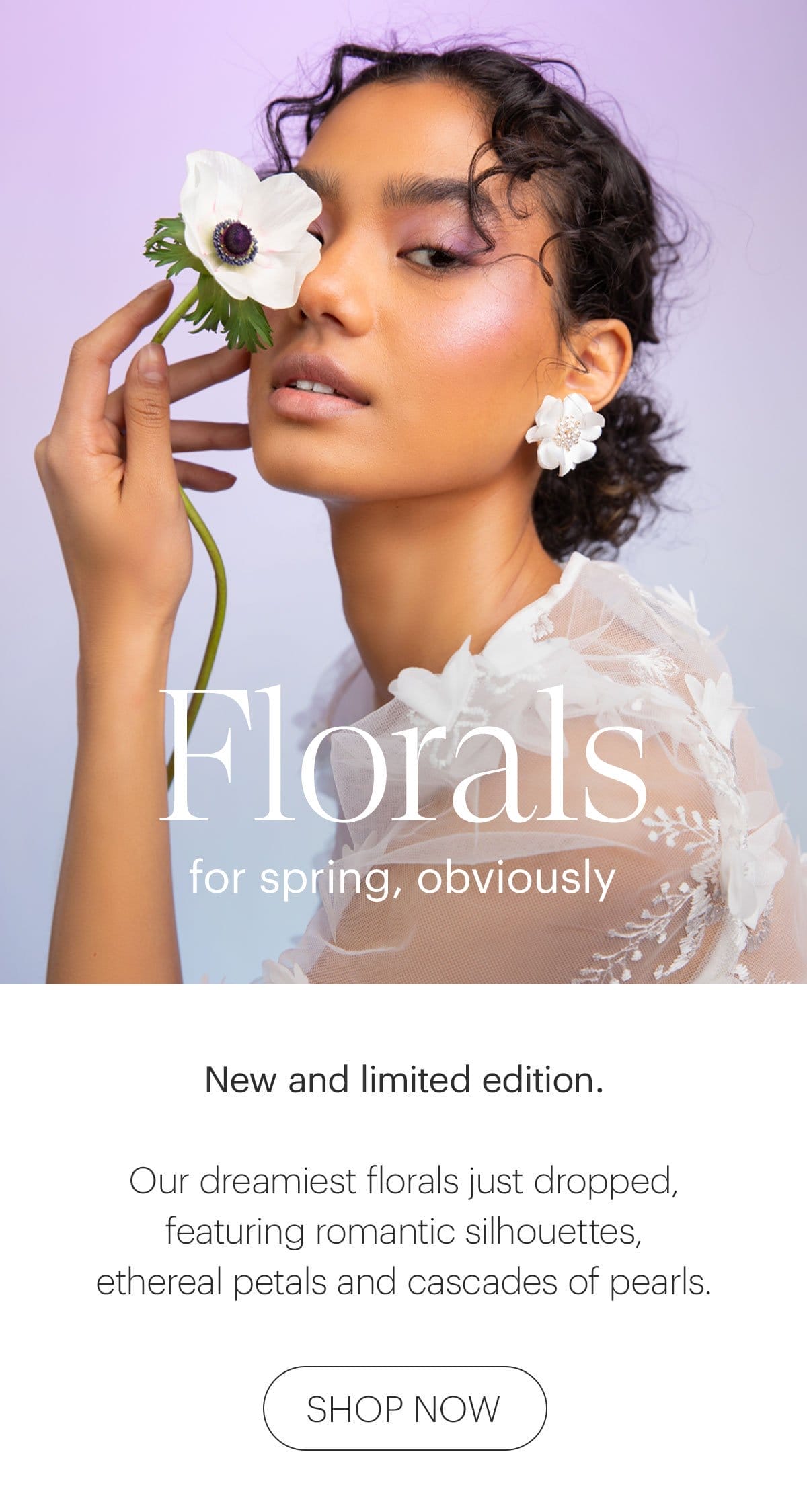 NEW & Limited Edition Florals