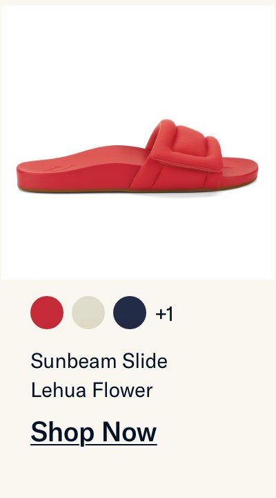 Sunbeam Slide