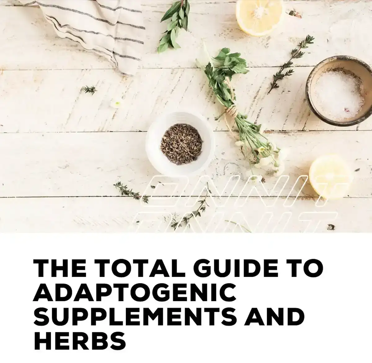 Guide to Adaptogenic Supplements and Herbs