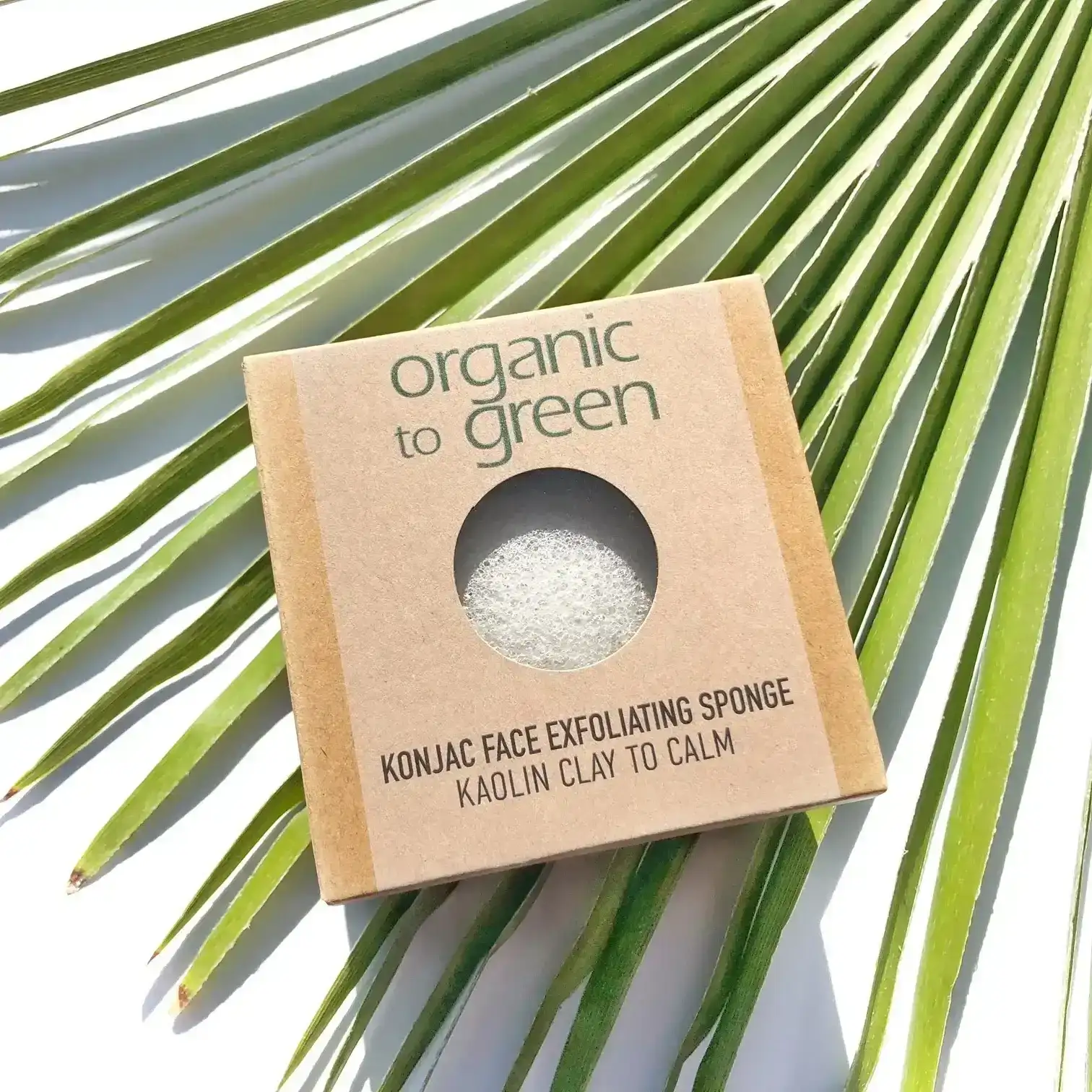 Image of Konjac Face Exfoliating Sponge - Kaolin Clay