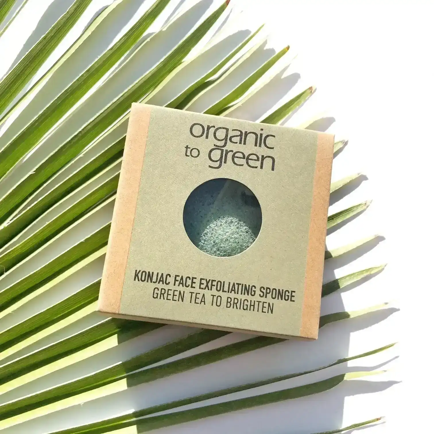 Image of Konjac Face Exfoliating Sponge - Green Tea