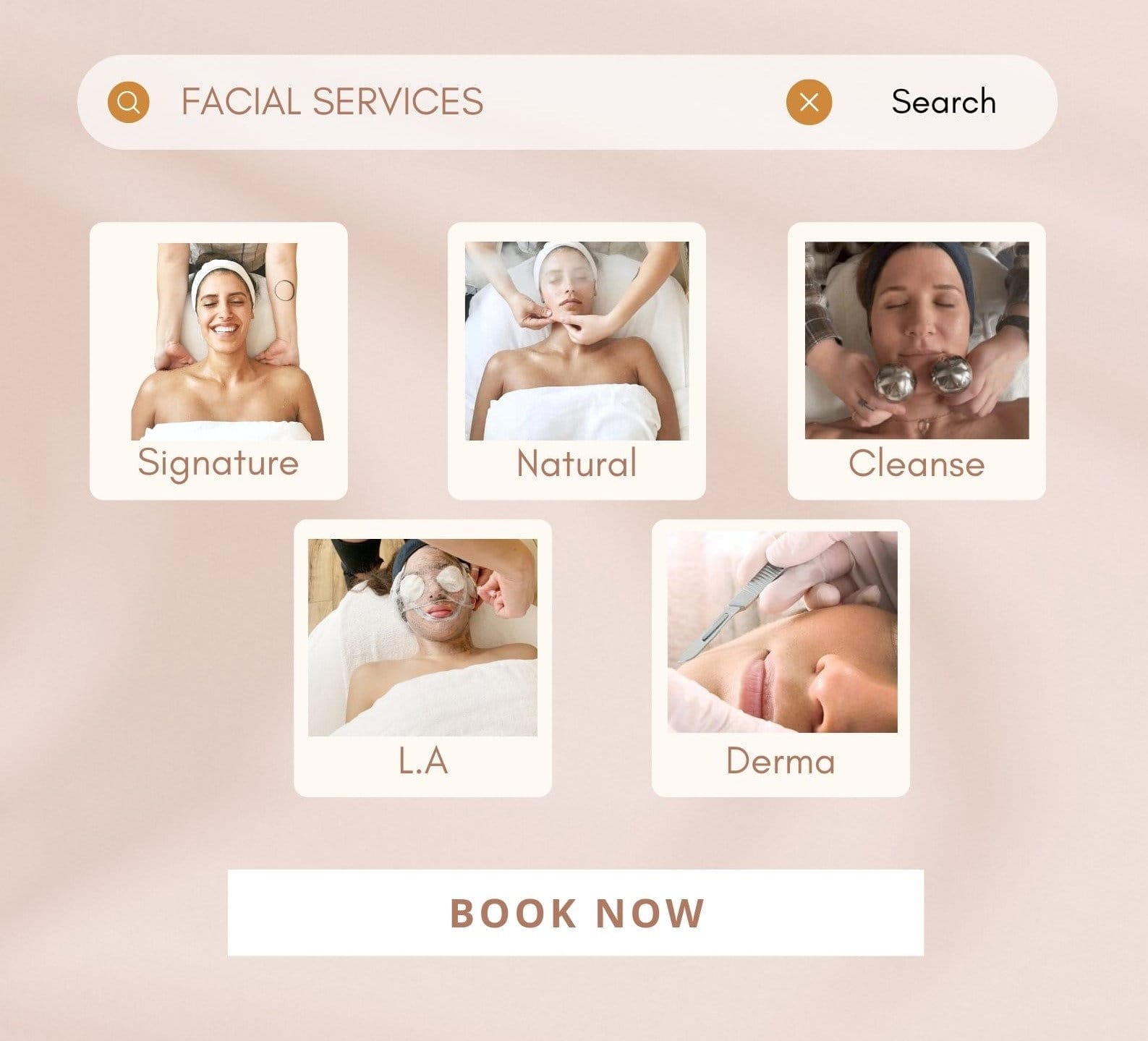 Our facial Services