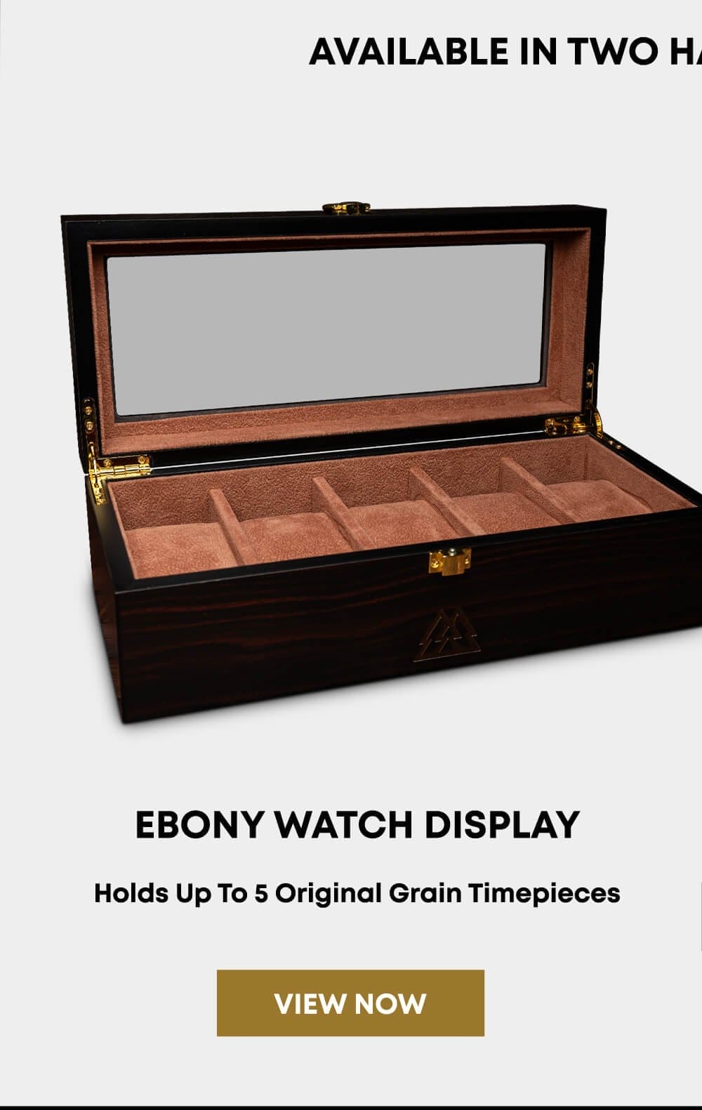 Ebony 5 Watch Display