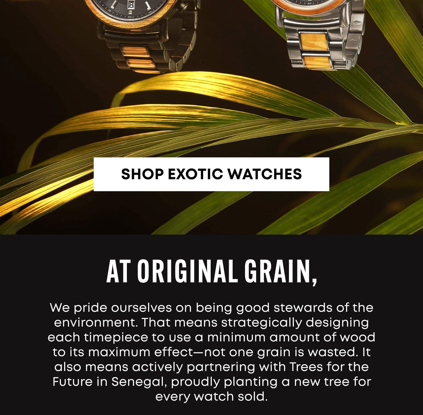 Click here to shop watches made with exotic woods