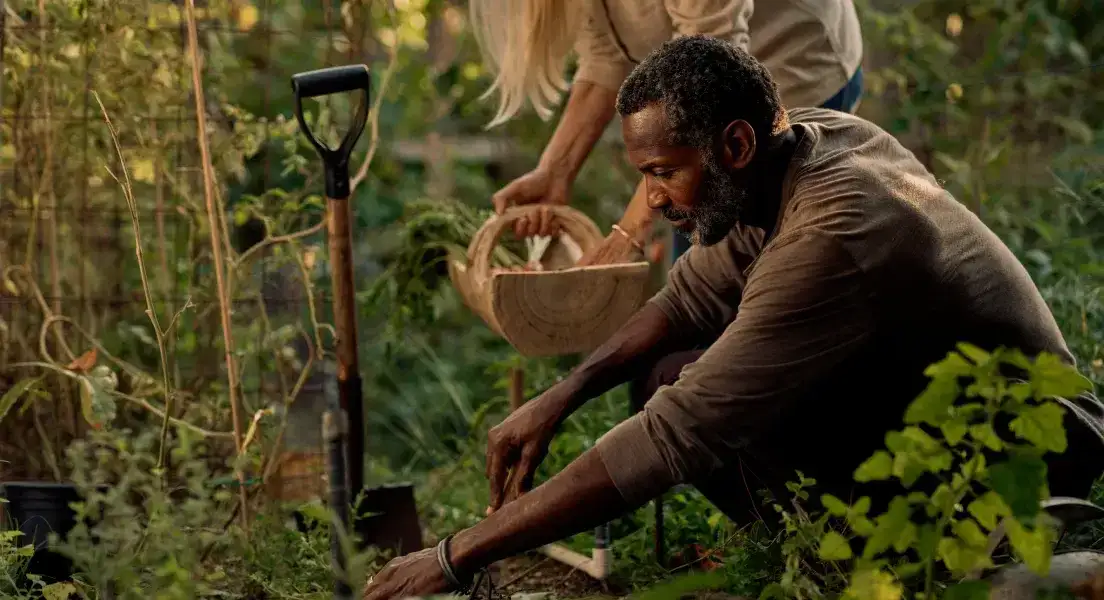 Person Weaering an Oura Ring Gardening