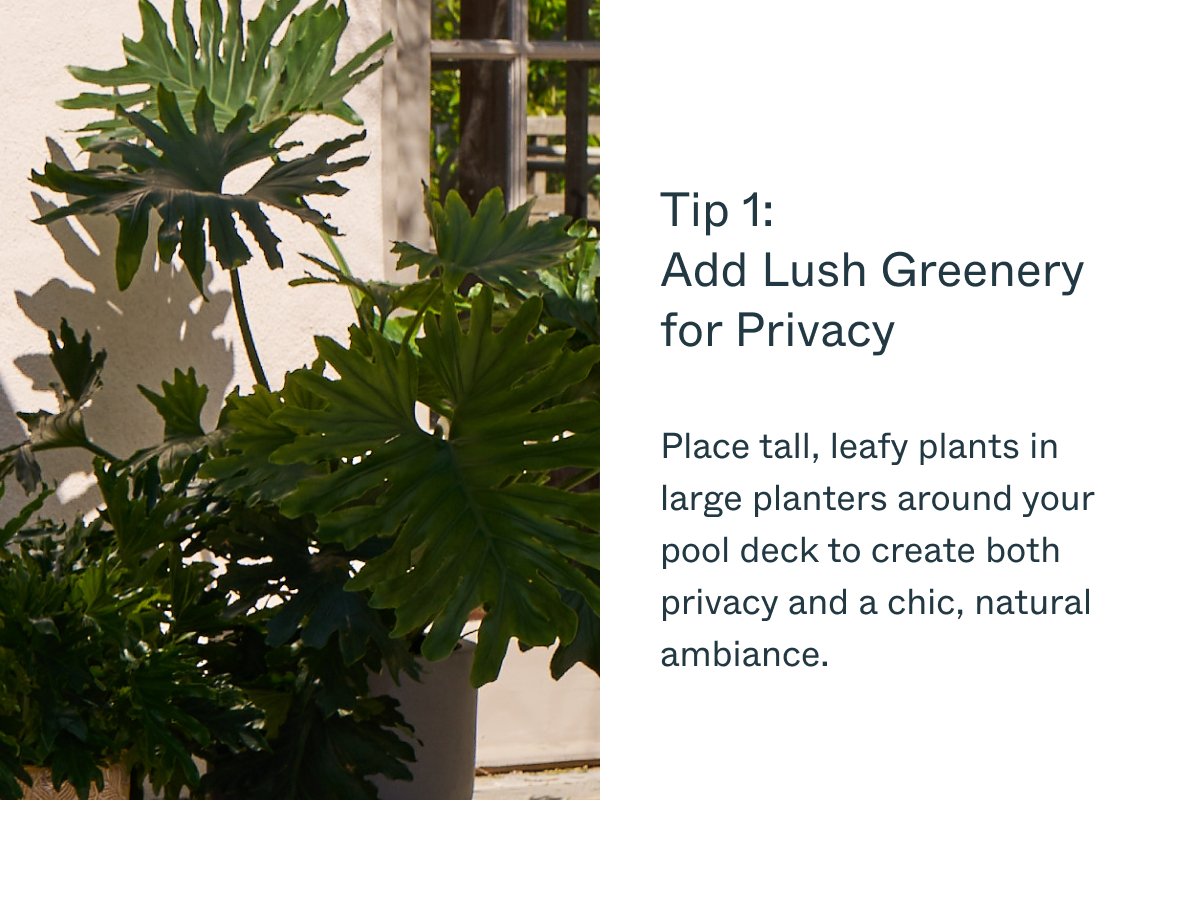 Tip 1: Add Lush Greenery for Privacy Place tall, leafy plants in large planters around your pool deck to create both privacy and a chic, natural ambiance.