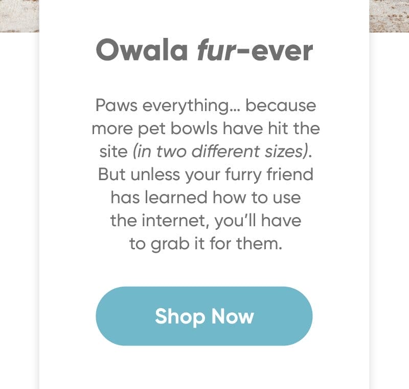 Owala fur-ever. Paws everything… because more pet bowls have hit the site (in two different sizes). But unless your furry friend has learned how to use the internet, you’ll have to grab it for them.\xa0Shop now