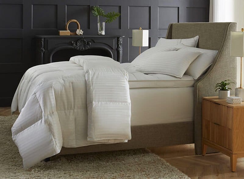 Boutique European Goose Down Comforter