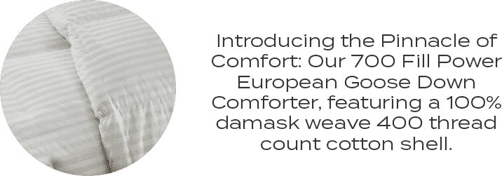 Boutique European Goose Down Comforter