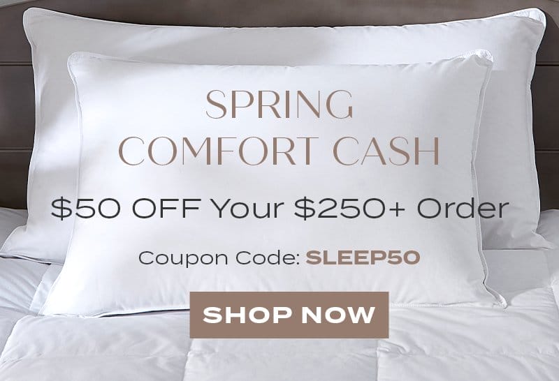 Comfort Cash