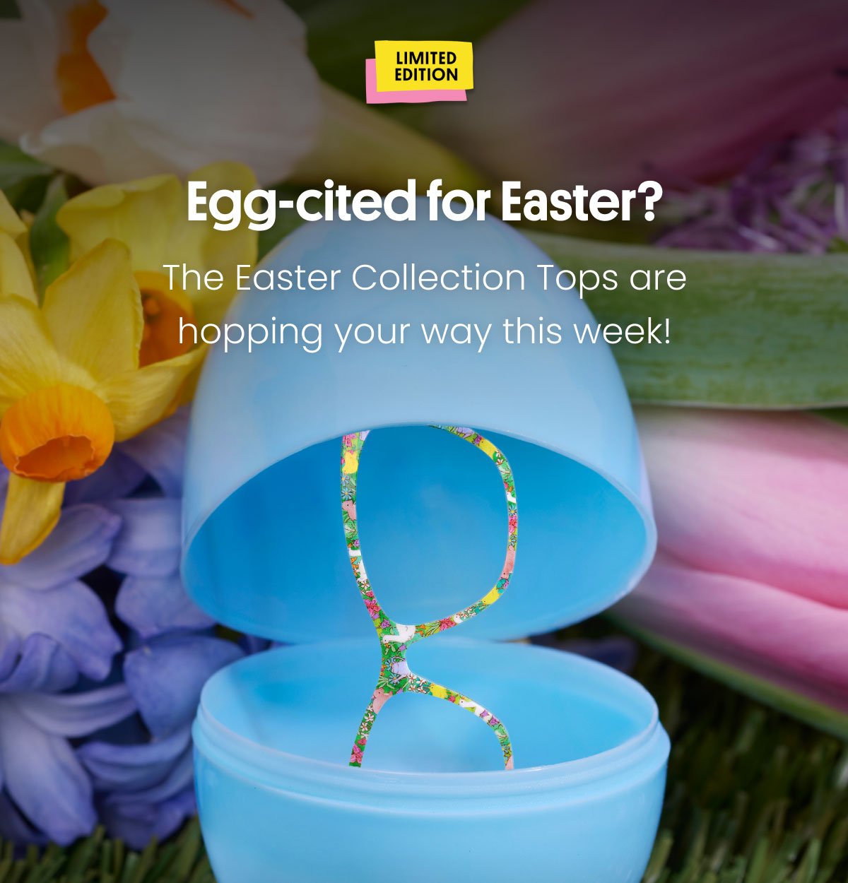 Egg-cited for Easter?