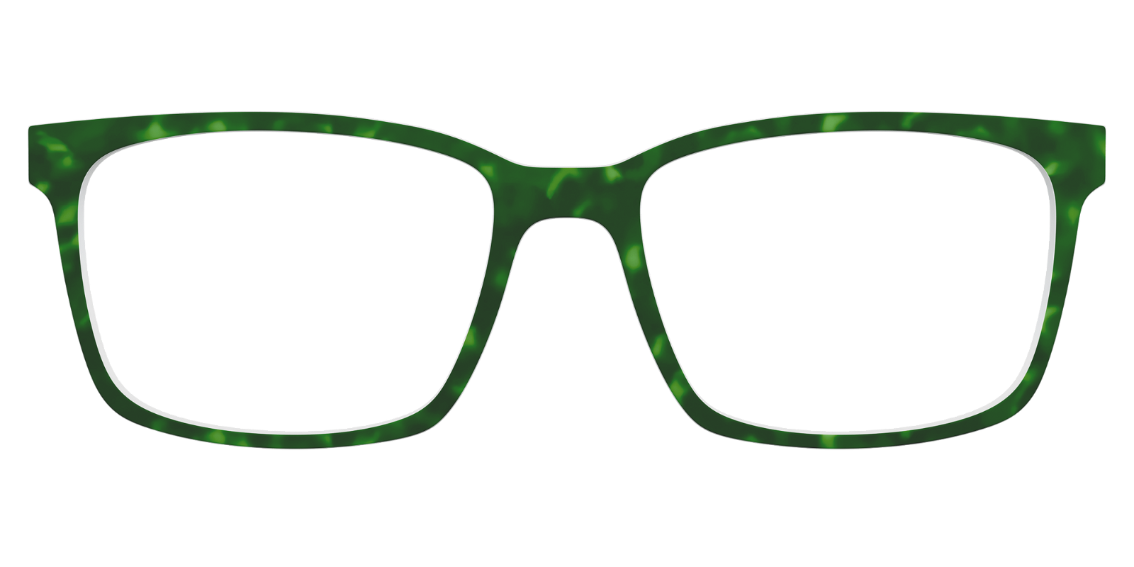 The Kelly Green Tortoise