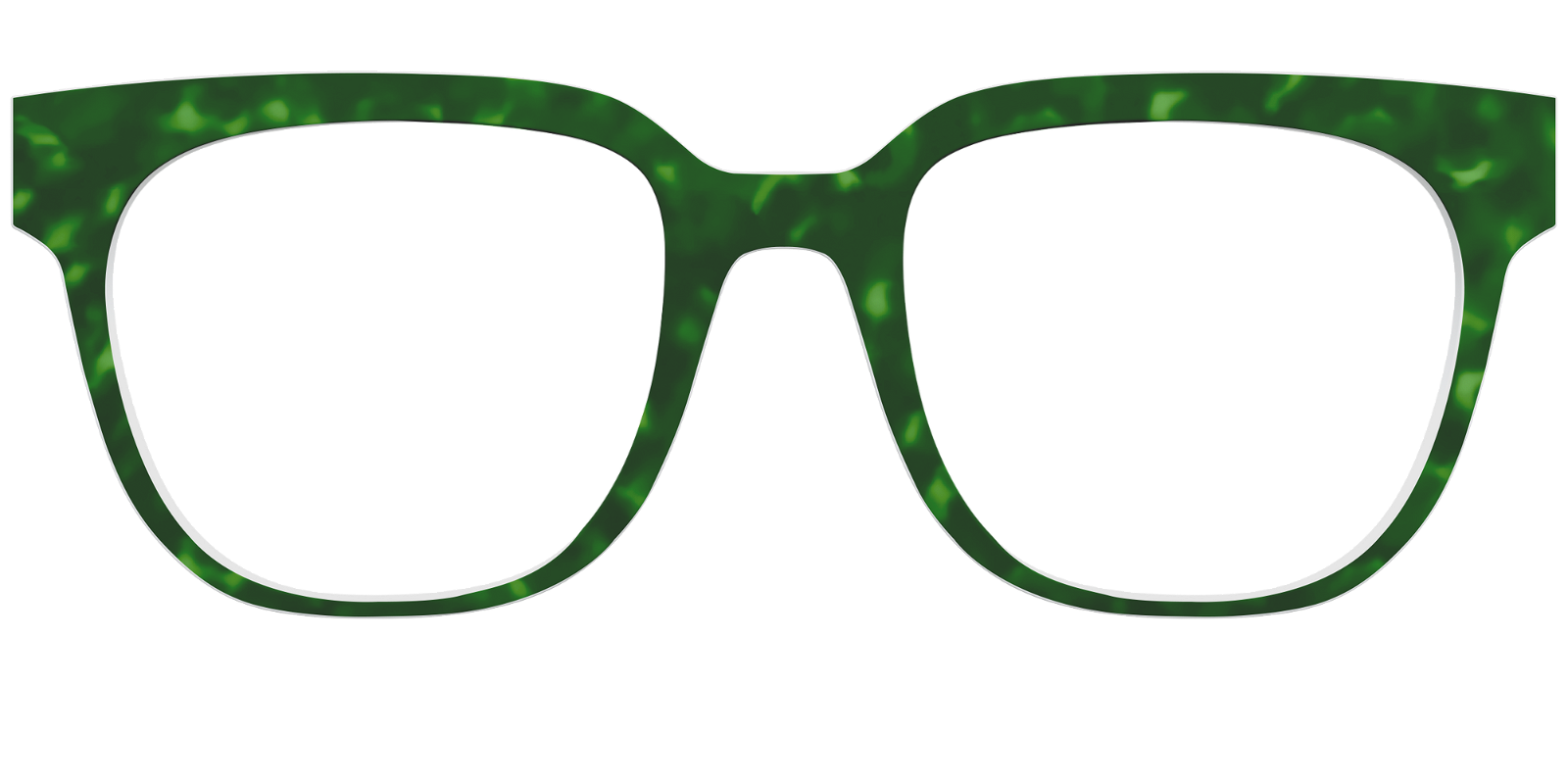 The Kelly Green Tortoise